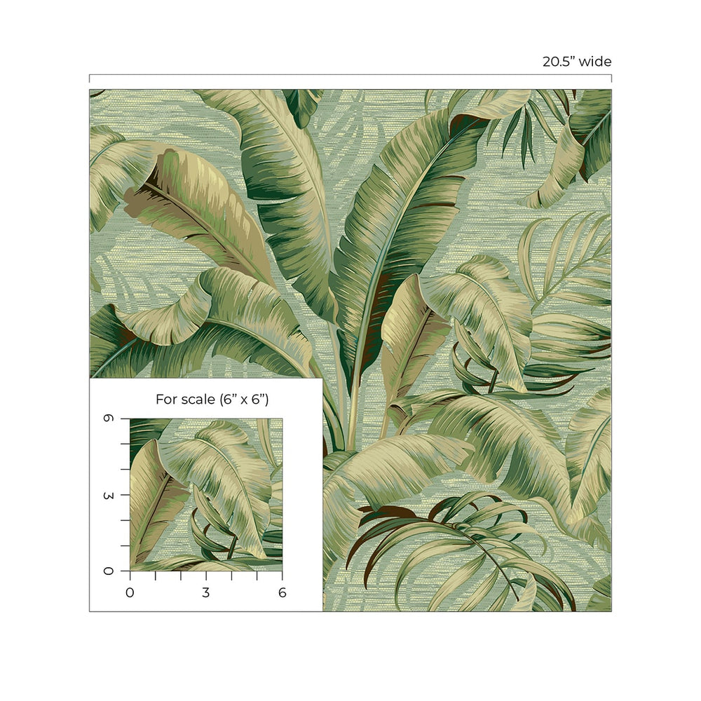 
                  
                    Palm leaf peel and stick wallpaper scale 802800WR from Tommy Bahama Home
                  
                