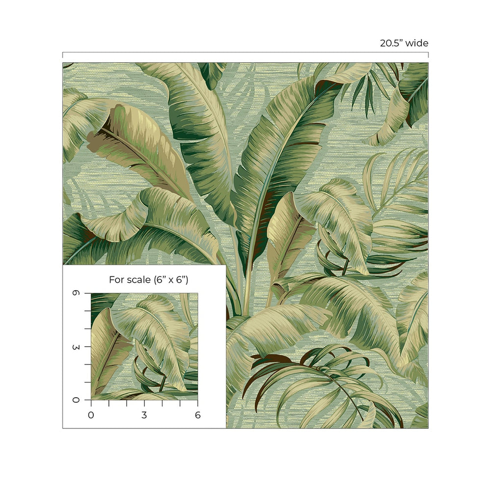 Palm leaf peel and stick wallpaper scale 802800WR from Tommy Bahama Home