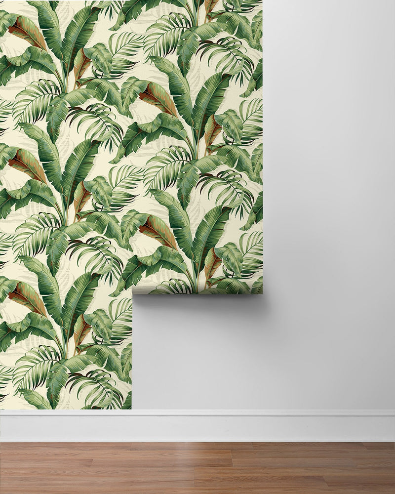Palm leaf peel and stick wallpaper roll 802802WR from Tommy Bahama Home