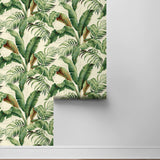 Palm leaf peel and stick wallpaper roll 802802WR from Tommy Bahama Home