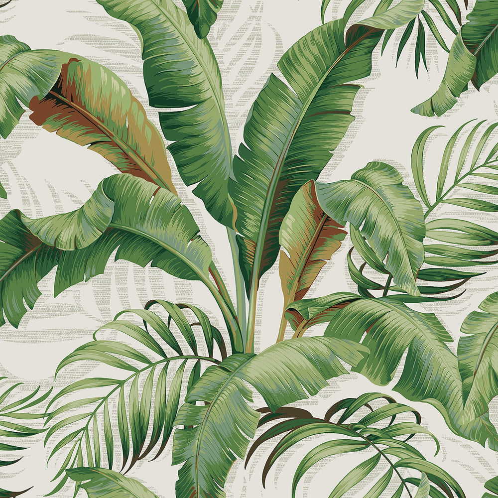 
                  
                    Palm leaf peel and stick wallpaper 802802WR from Tommy Bahama Home
                  
                