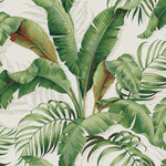 Palm leaf peel and stick wallpaper 802802WR from Tommy Bahama Home