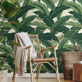 Palm leaf peel and stick wallpaper accent 802850WR from Tommy Bahama Home