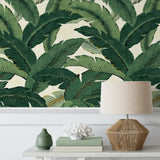 Palm leaf peel and stick wallpaper coastal 802850WR from Tommy Bahama Home