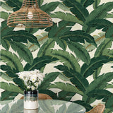 Palm leaf peel and stick wallpaper dining room 802850WR from Tommy Bahama Home