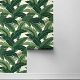 Palm leaf peel and stick wallpaper roll 802850WR from Tommy Bahama Home