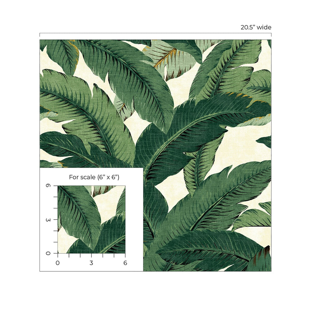 
                  
                    Palm leaf peel and stick wallpaper scale 802850WR from Tommy Bahama Home
                  
                