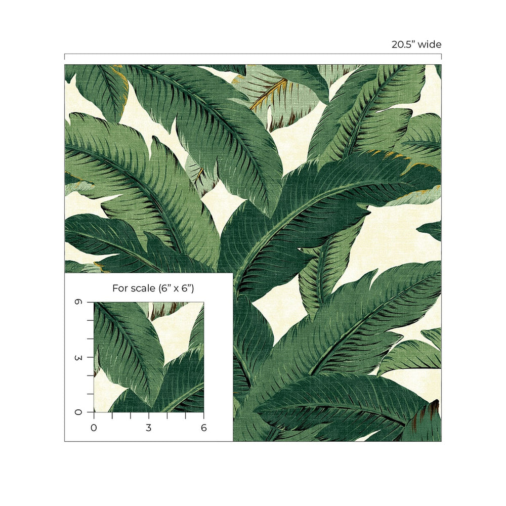 Palm leaf peel and stick wallpaper scale 802850WR from Tommy Bahama Home