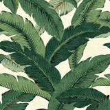 Palm leaf peel and stick wallpaper 802850WR from Tommy Bahama Home