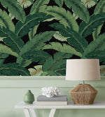 Palm leaf peel and stick wallpaper accent 802852WR from Tommy Bahama Home