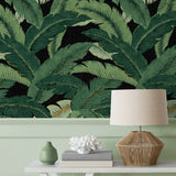 Palm leaf peel and stick wallpaper accent 802852WR from Tommy Bahama Home