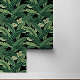 Palm leaf peel and stick wallpaper roll 802852WR from Tommy Bahama Home