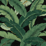 Palm leaf peel and stick wallpaper 802852WR from Tommy Bahama Home