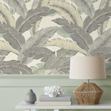 Palm leaf peel and stick wallpaper accent 802853WR from Tommy Bahama Home