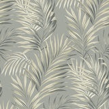 Palm leaf peel and stick wallpaper 802862WR from Tommy Bahama Home