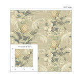 802870WR tropical bird peel and stick wallpaper scale from Tommy Bahama Home