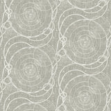 Astronomy peel and stick wallpaper 802881WR from Tommy Bahama Home