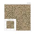 802890WR Sunny Spot peel and stick wallpaper scale from Tommy Bahama Home