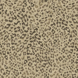 802890WR Sunny Spot peel and stick wallpaper from Tommy Bahama Home