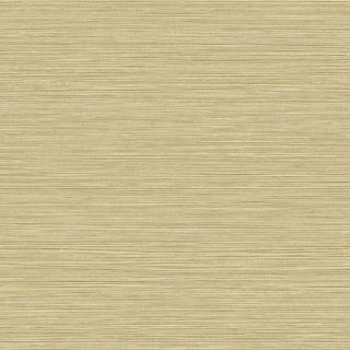 BV30103 embossed vinyl wallpaper from the Texture Gallery collection by Seabrook Designs