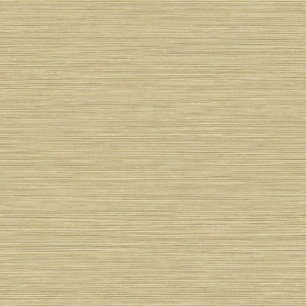 BV30103 Sandy Shores Grasslands Embossed Vinyl Unpasted Wallpaper