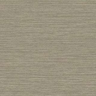 BV30106 Warm Stone Grasslands Embossed Vinyl Unpasted Wallpaper