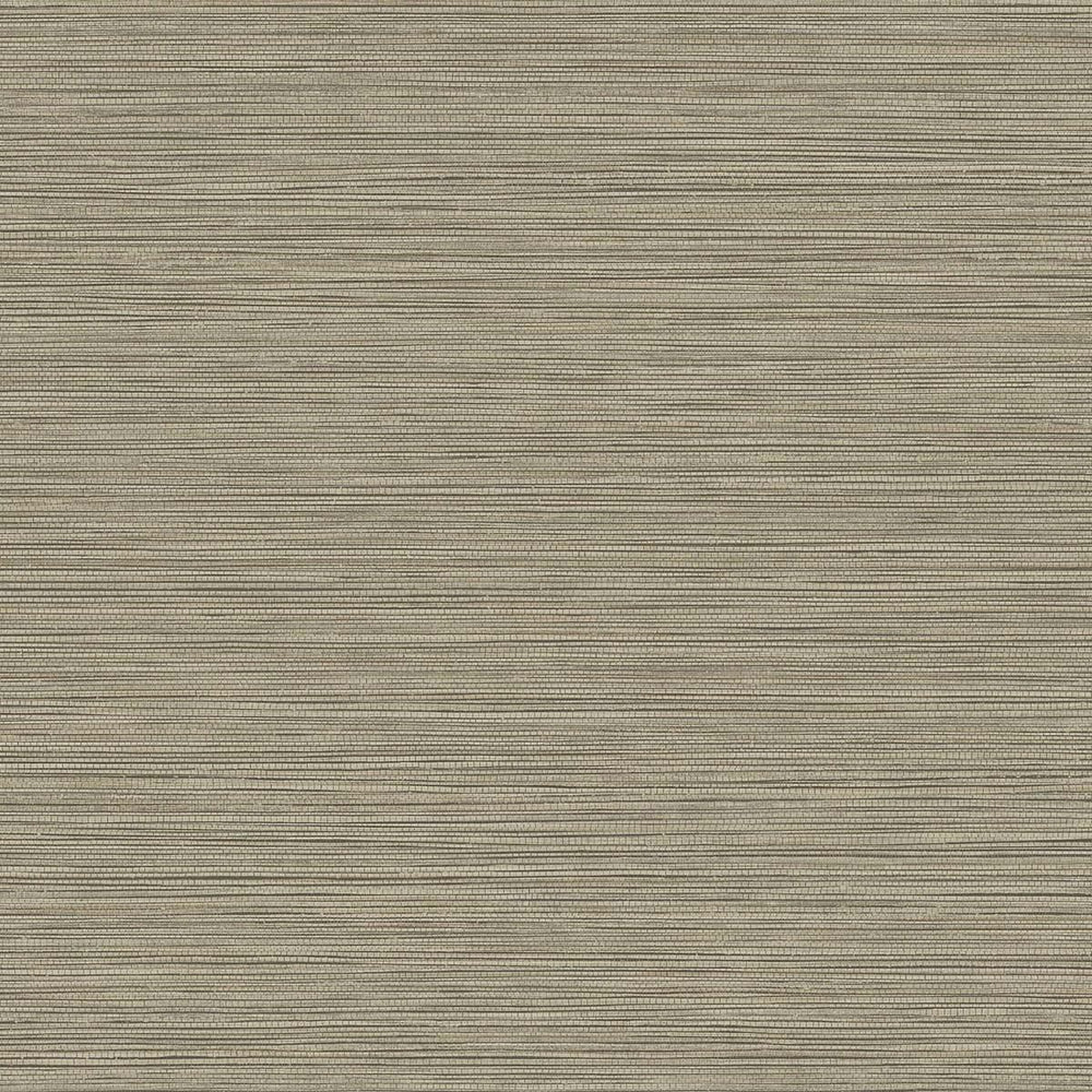 BV30106 Warm Stone Grasslands Embossed Vinyl Unpasted Wallpaper