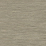 BV30106 Warm Stone Grasslands Embossed Vinyl Unpasted Wallpaper