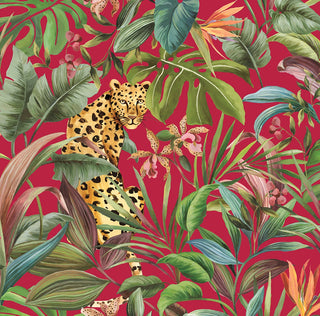 Jungle peel and stick wallpaper DB20101 from Daisy Bennett Designs