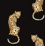 Leopard peel and stick wallpaper DB20200 from Daisy Bennett Designs