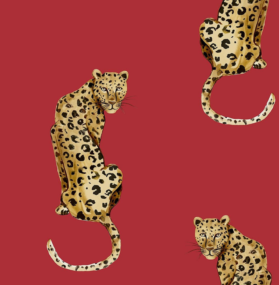 Leopard peel and stick wallpaper DB20201 from Daisy Bennett Designs