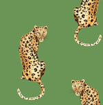 Leopard peel and stick wallpaper DB20204 from Daisy Bennett Designs