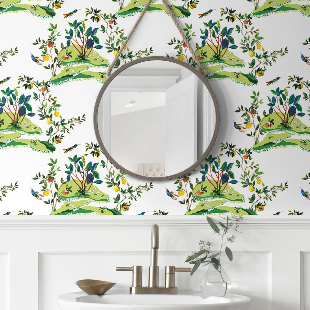
                  
                    DBW9001 botanical wallpaper bathroom citrus hummingbird from the West Boulevard collection by Daisy Bennett Designs
                  
                