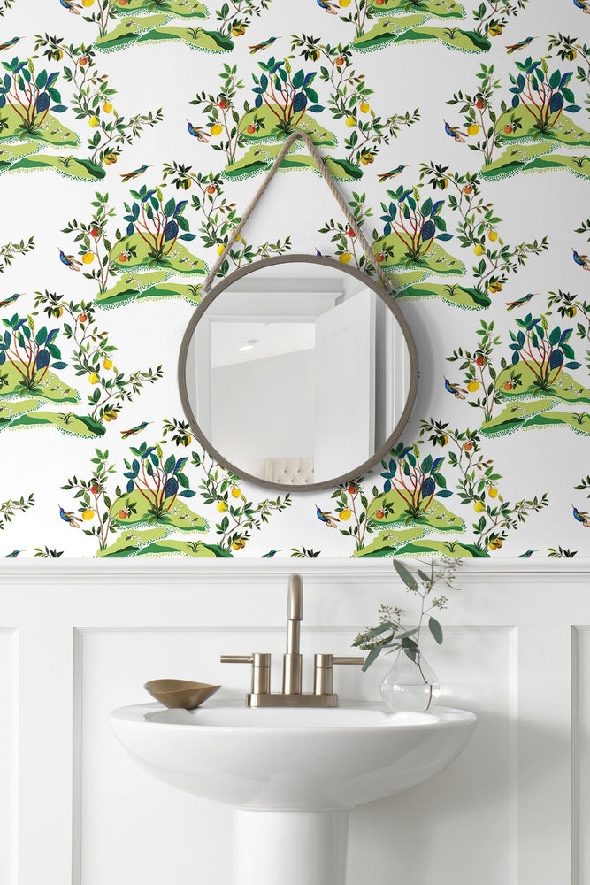 DBW9001 botanical wallpaper bathroom citrus hummingbird from the West Boulevard collection by Daisy Bennett Designs