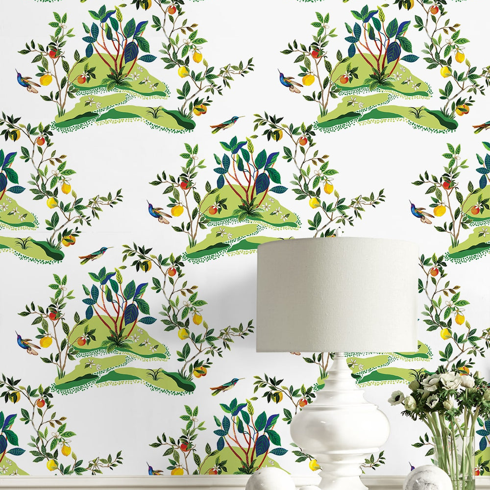 
                  
                    DBW9001 botanical wallpaper decor citrus hummingbird from the West Boulevard collection by Daisy Bennett Designs
                  
                