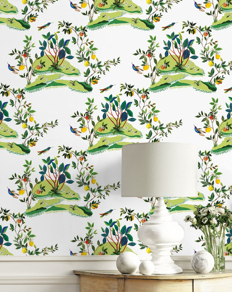 DBW9001 botanical wallpaper decor citrus hummingbird from the West Boulevard collection by Daisy Bennett Designs