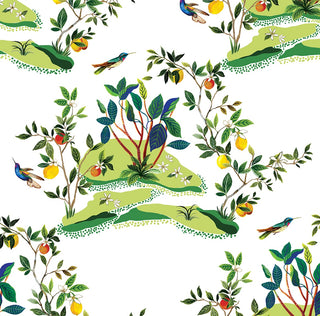 DBW9001 botanical wallpaper citrus hummingbird from the West Boulevard collection by Daisy Bennett Designs