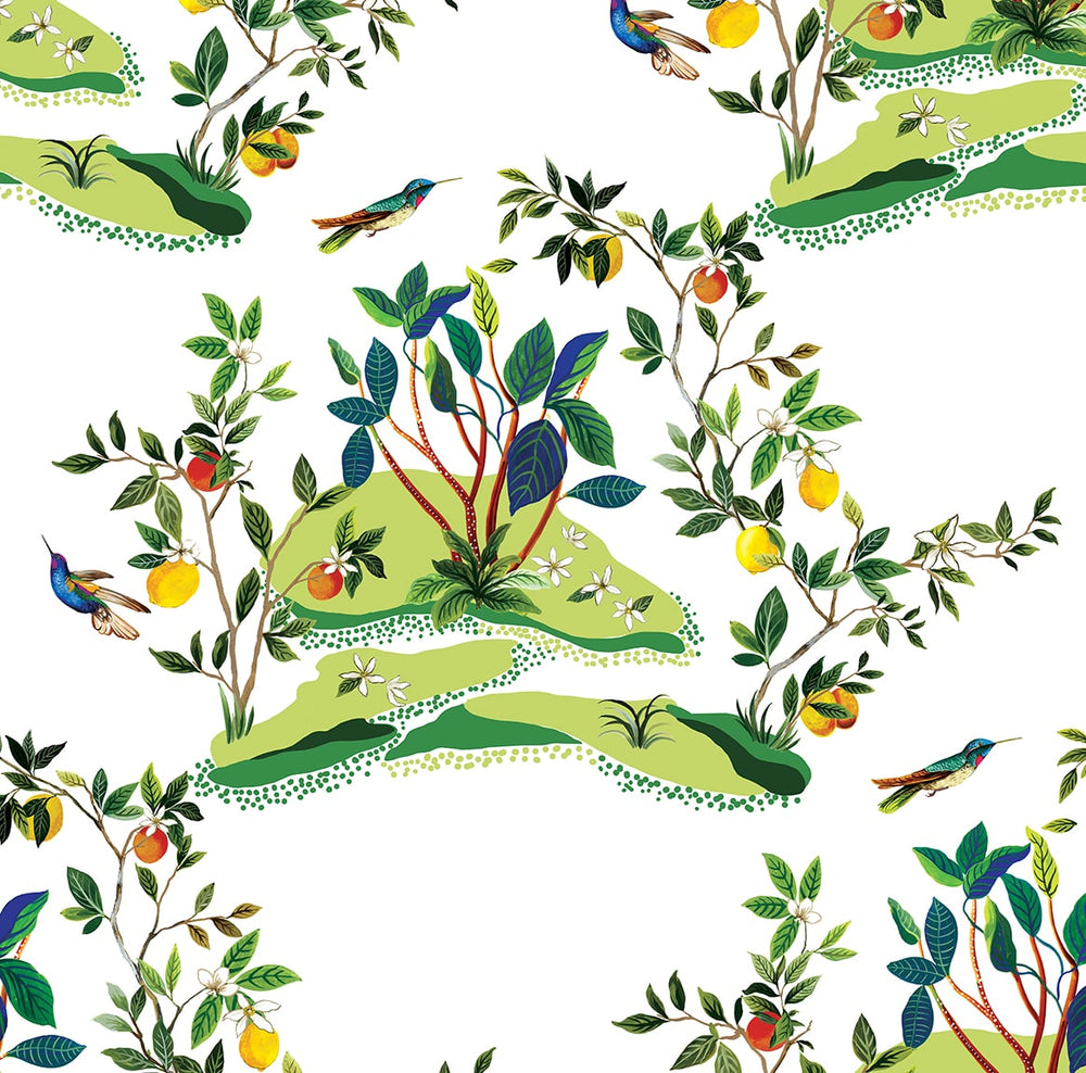DBW9001 botanical wallpaper citrus hummingbird from the West Boulevard collection by Daisy Bennett Designs