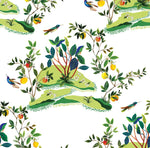 West Boulevard Collection Citrus Hummingbird Unpasted Wallpaper