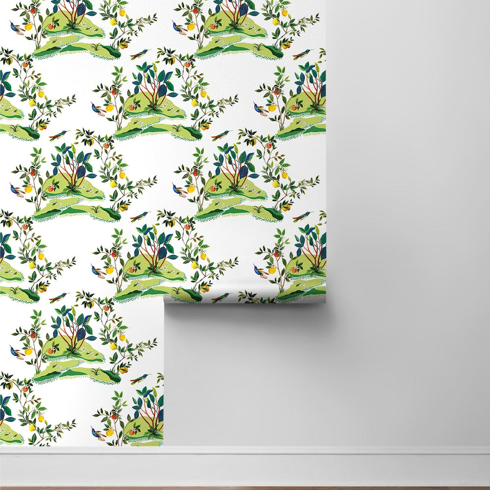 
                  
                    DBW9001 botanical wallpaper roll citrus hummingbird from the West Boulevard collection by Daisy Bennett Designs
                  
                