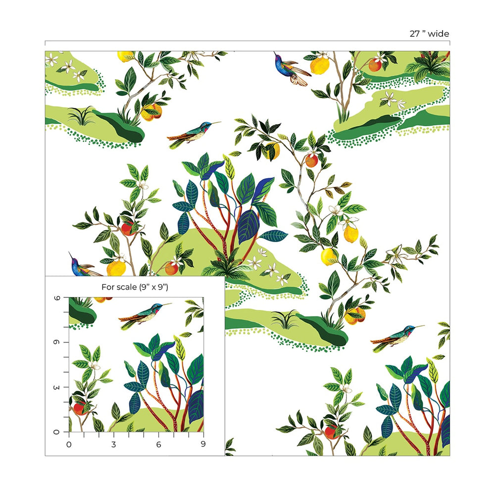 DBW9001 botanical wallpaper scale citrus hummingbird from the West Boulevard collection by Daisy Bennett Designs