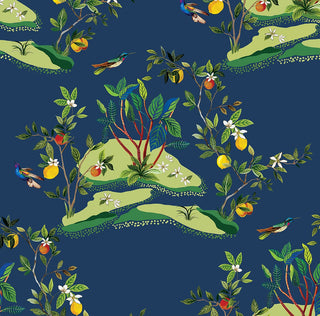 DBW9002 botanical wallpaper citrus hummingbird from the West Boulevard collection by Daisy Bennett Designs
