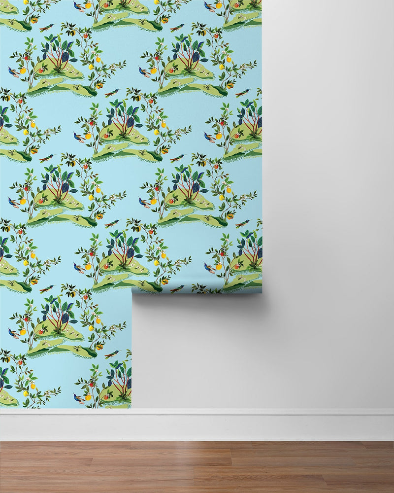 DBW9003 botanical wallpaper roll citrus hummingbird from the West Boulevard collection by Daisy Bennett Designs