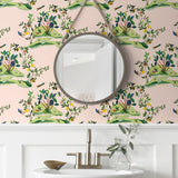 DBW9004 botanical wallpaper bathroom citrus hummingbird from the West Boulevard collection by Daisy Bennett Designs