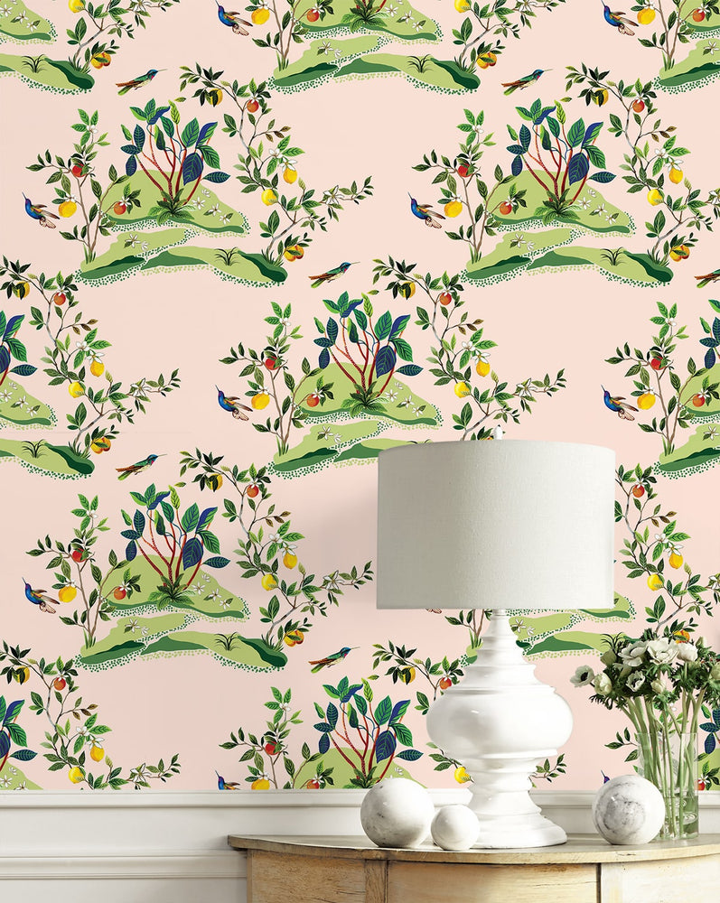DBW9004 botanical wallpaper decor citrus hummingbird from the West Boulevard collection by Daisy Bennett Designs