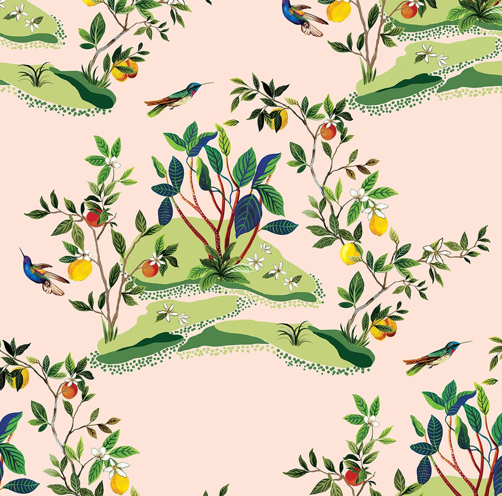 DBW9004 botanical wallpaper citrus hummingbird from the West Boulevard collection by Daisy Bennett Designs