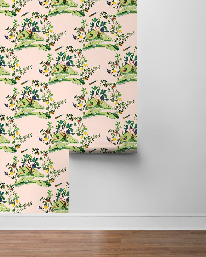 DBW9004 botanical wallpaper roll citrus hummingbird from the West Boulevard collection by Daisy Bennett Designs