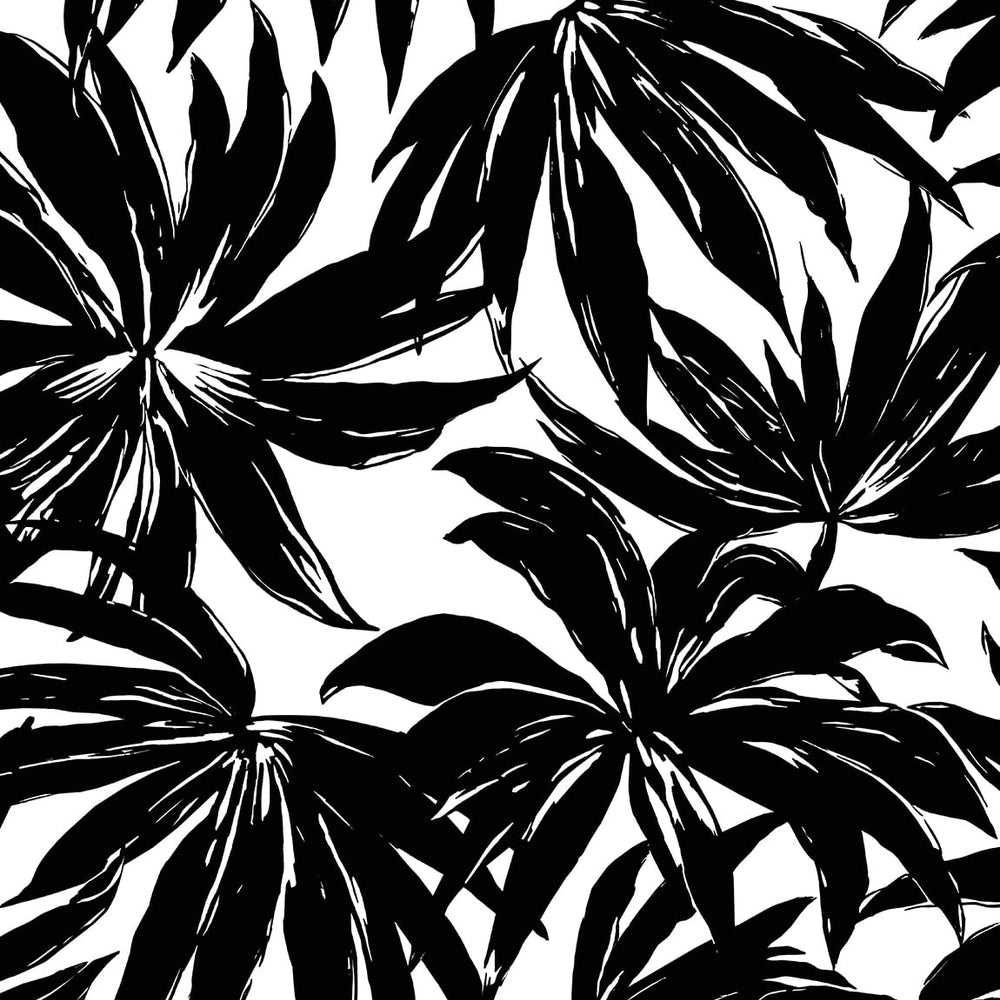 
                  
                    DBW9111 palm leaf wallpaper from the West Boulevard collection by Daisy Bennett Designs
                  
                