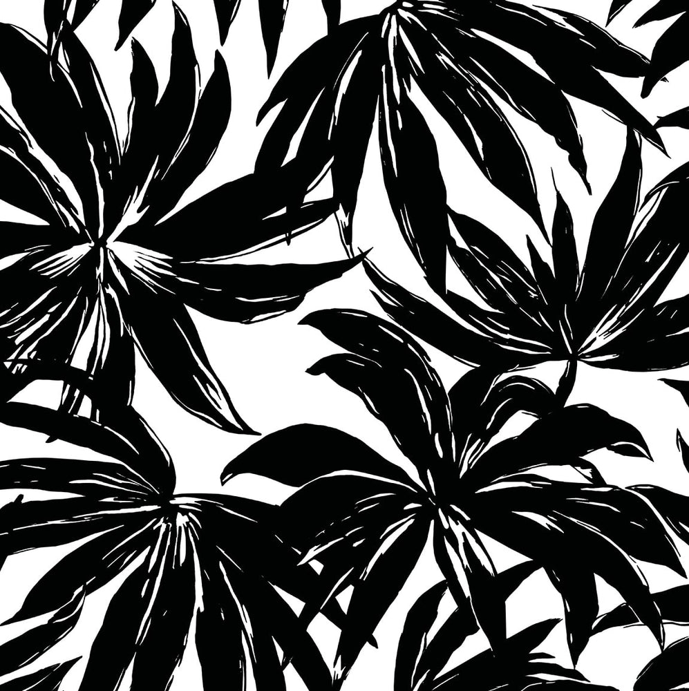 DBW9111 palm leaf wallpaper from the West Boulevard collection by Daisy Bennett Designs
