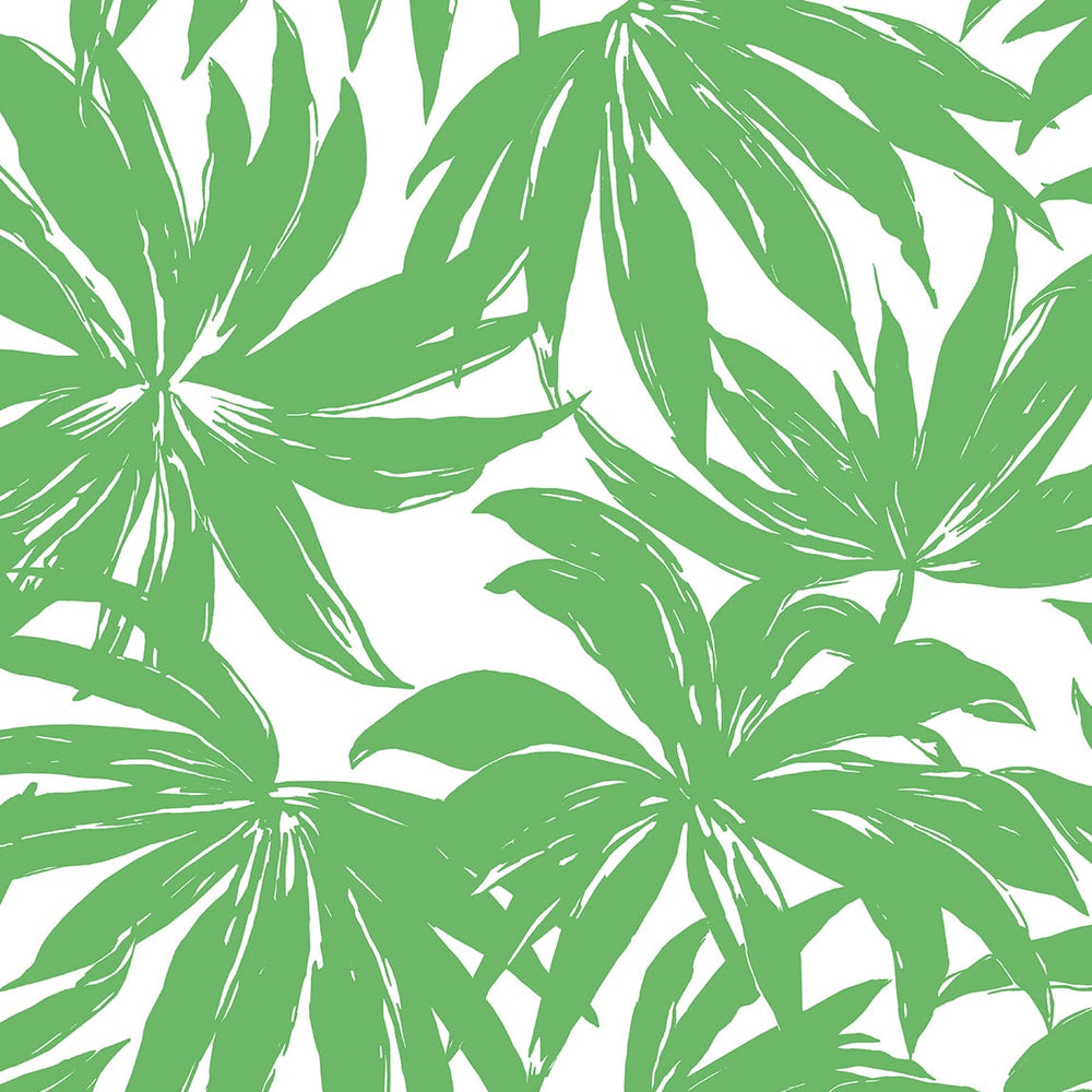 
                  
                    DBW9112 palm leaf wallpaper from the West Boulevard collection by Daisy Bennett Designs
                  
                
